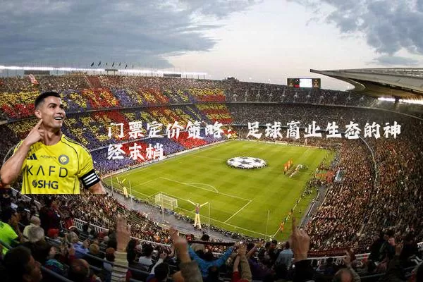 门票定价策略：足球商业生态的神经末梢